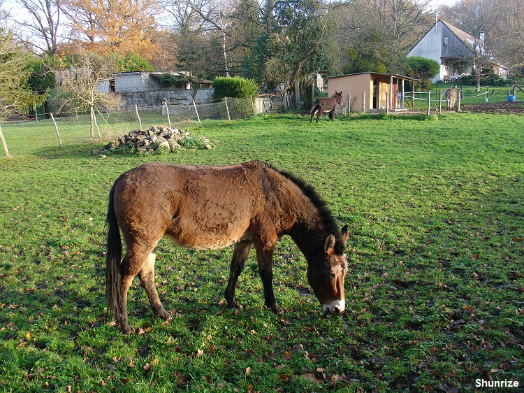 rencontre champagne sur seine