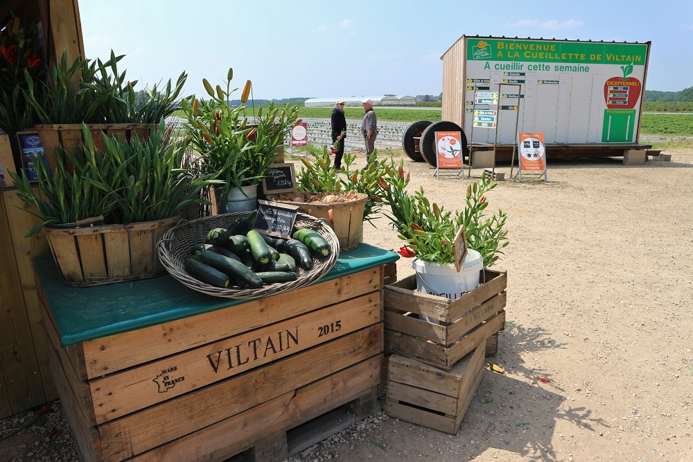 Cueillette à la ferme de Viltain | Shunrize, le webzine avide de