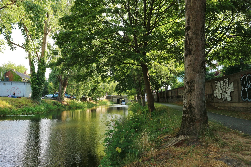 grand canal à dublin