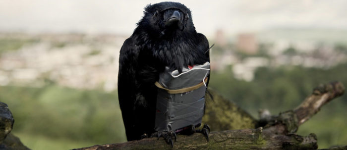 We Are Four Lions We are four lions - la critique du film | Shunrize, le magazine friand