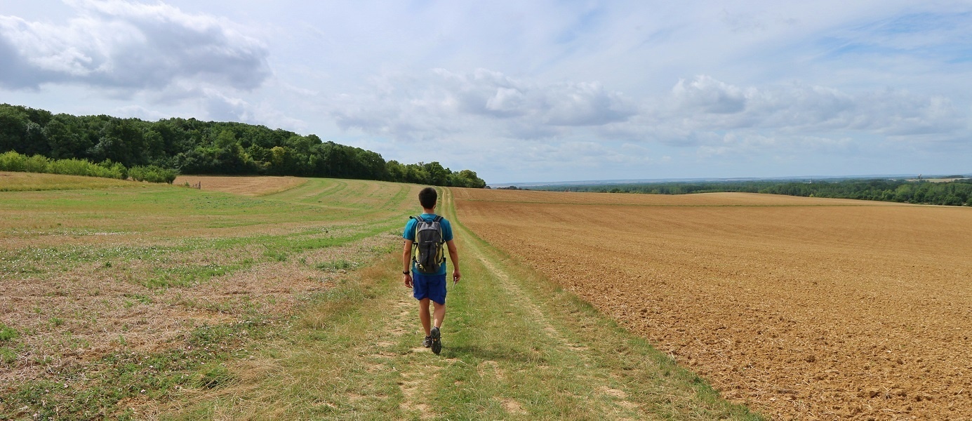 5 randonnées autour de Paris accessibles en train | Shunrize, le